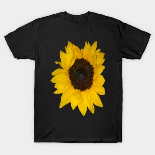 Single sunflowers close up - summertime T-Shirt